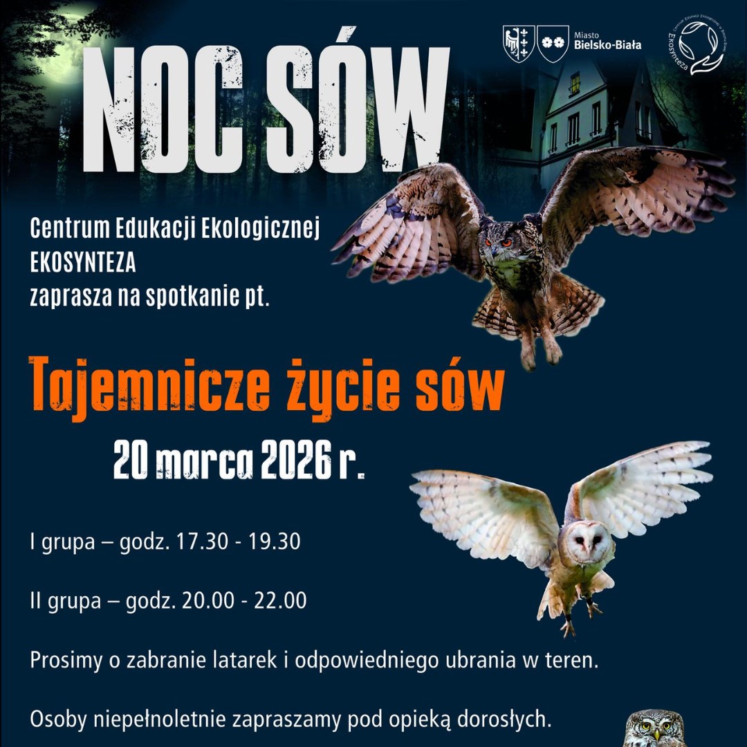 Noc Sów