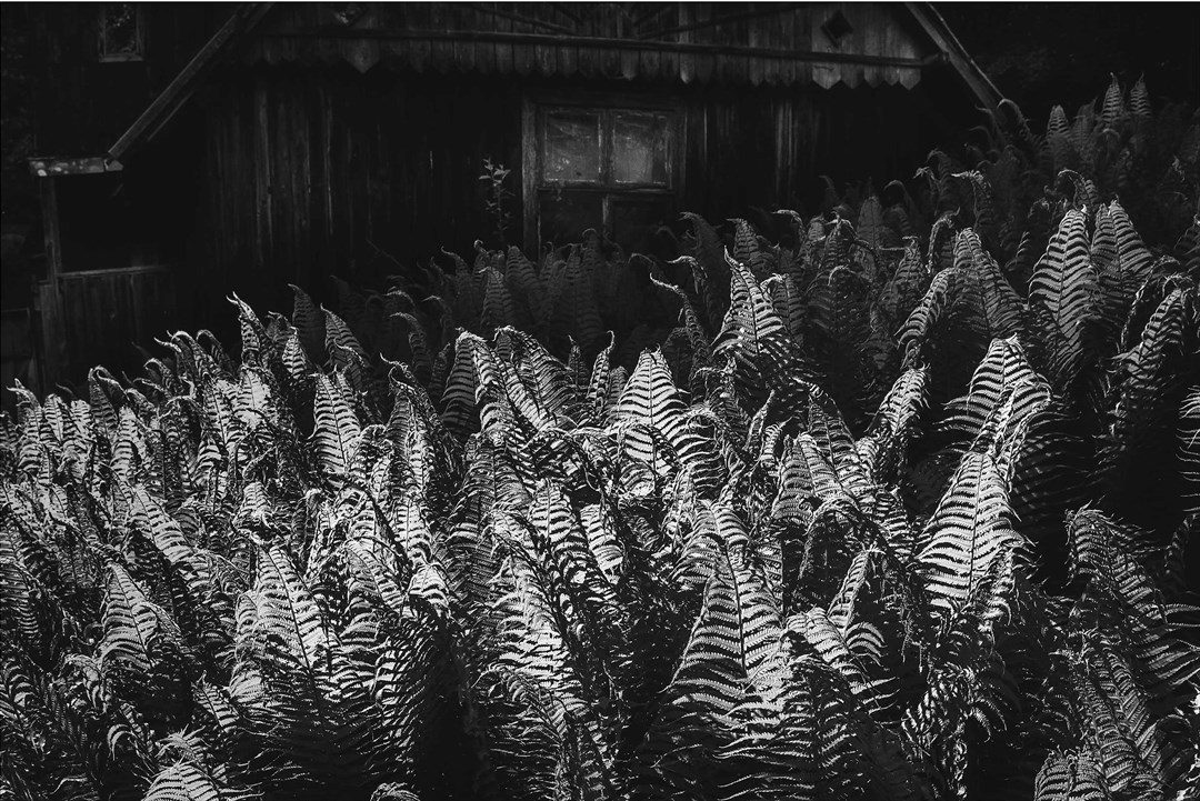 Doroczna Wystawa Okręgu Górskiego Związku Polskich Artystów Fotografików