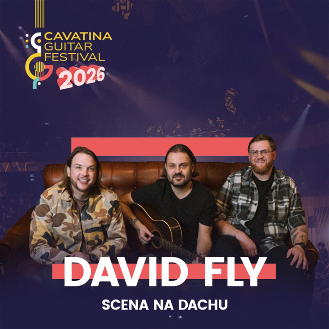David Fly | scena na dachu