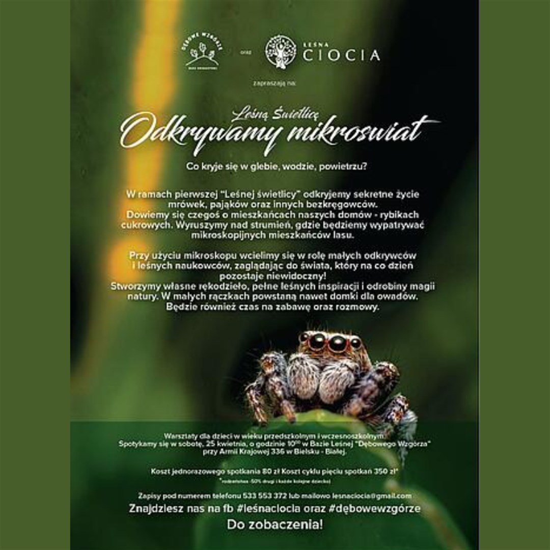 Leśne Warsztaty Przyrodnicze