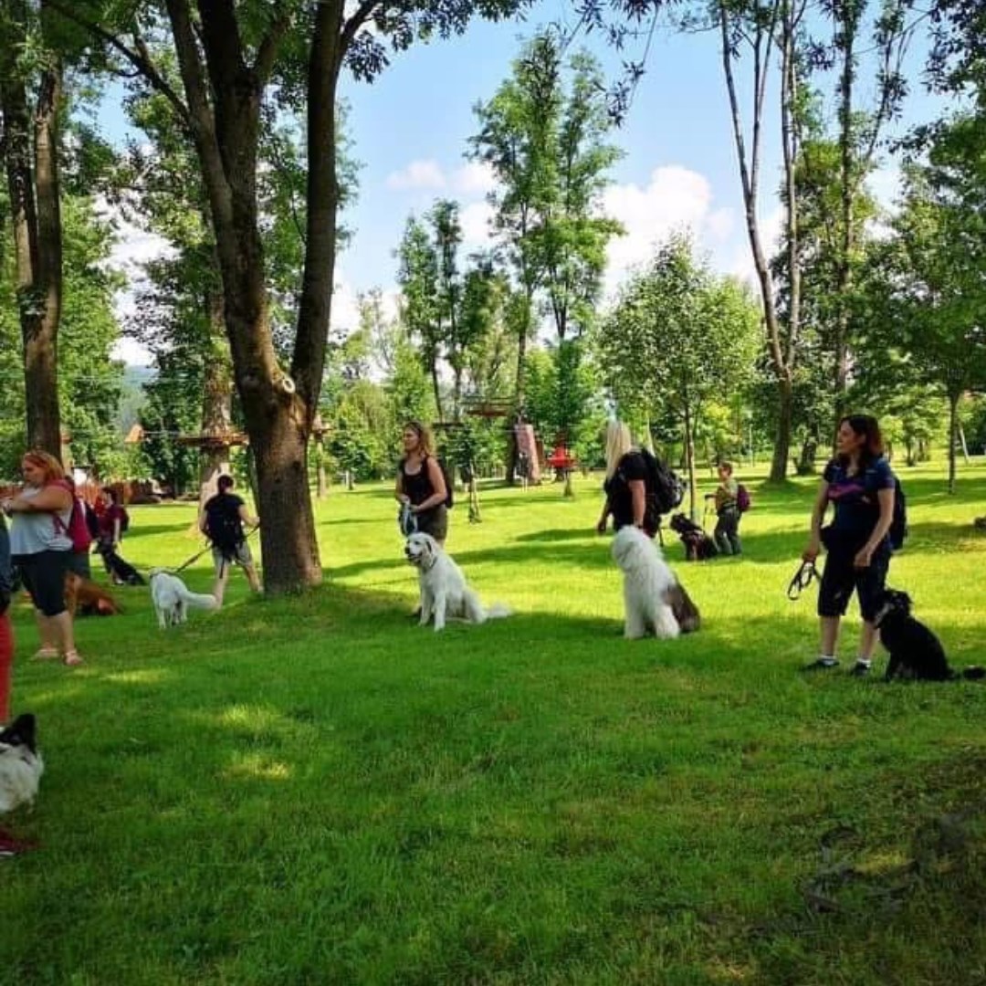 Grupowy Wiosenny Kurs Posłuszeństwa