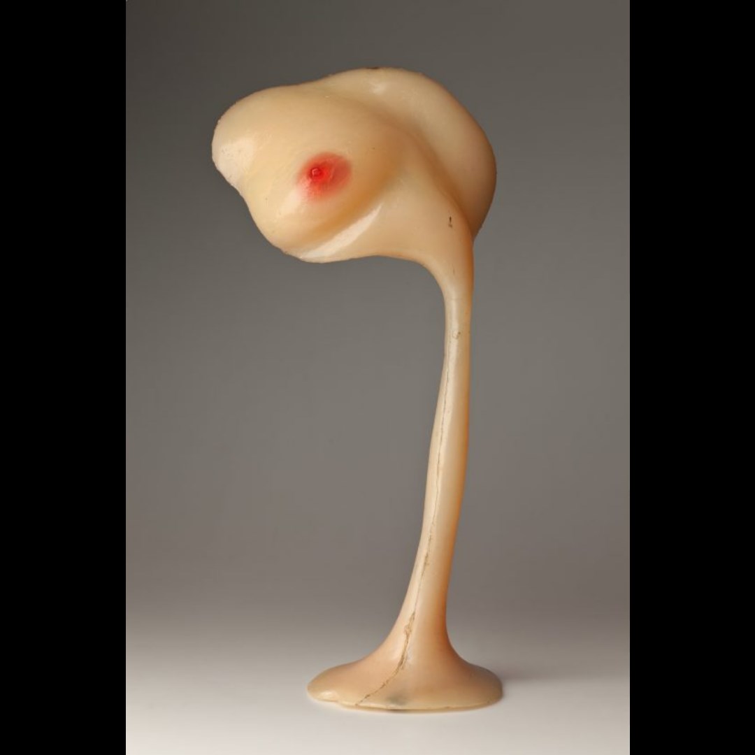 Szapocznikow. Osobista