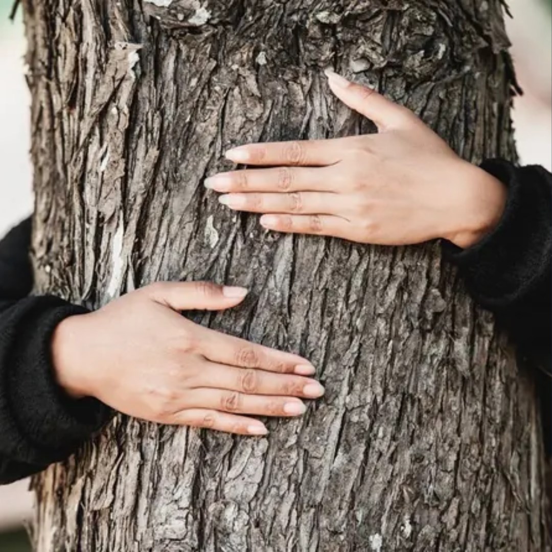 Poczuj oddech z lasem